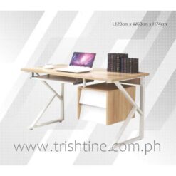 TSDESK-001 Study Desk with Drawers