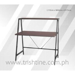 TSDESK-005 Computer Study Desk with Shelf Ledge