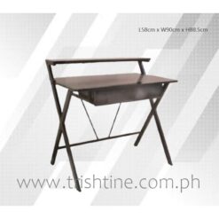TSDESK-008 Modern Computer Study Desk with Ledge