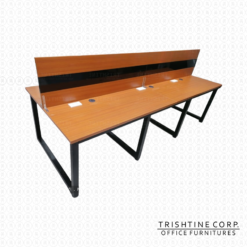 6-Seater Customized Workstation with High MDF Panel Divider