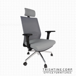 TEX-100 | High Back Executive Chair w/ 3D Armrest
