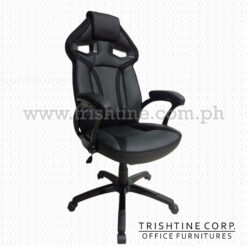 TEX-GS-005 | High Back Gaming Chair with Armrest