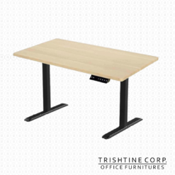 FST-006 Adjustable Height Freestanding Desk