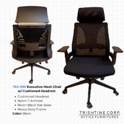 TEX-090 | Executive Mesh Chair w/ Cushioned Headrest