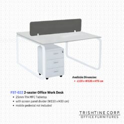 FST-022 | Office Work Desk