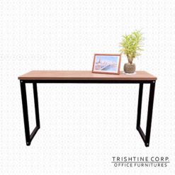 Console Table for Entryway and Living Room