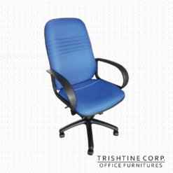 TEX-19-FAB | High Back Fabric Executive Chair