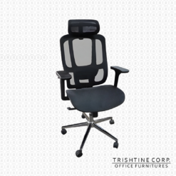 TEX-254 | Highback Executive Mesh Chair with Headrest