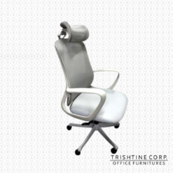 TEX-255 |  Highback Executive Mesh Chair with Headrest