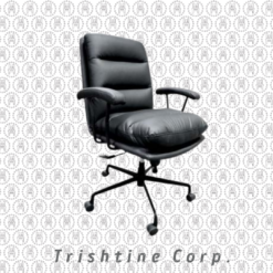 TCL-047 | Modern Leather Chair