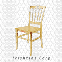 TPR-GHS-003 | Stylish Accent Plastic Chairs