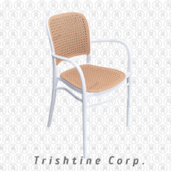 TPR-PLAS-014 | Modern Classic Chair