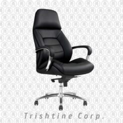 TEX-281 | Executive Chair with headrest