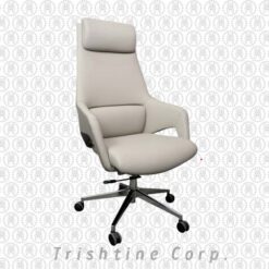 TEX-284 | Stylish Executive Comfort Chair