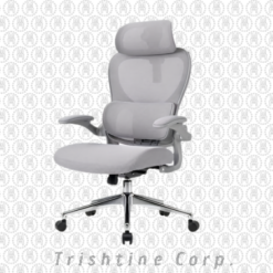 TEX-287 | Mesh Executive Chair w/ headrest
