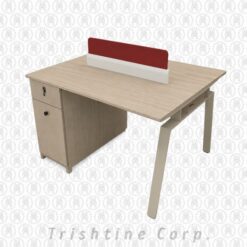 TOFF-158 | 2 Seater modern workstation
