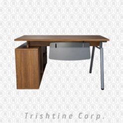TOFF-156 | Professional Office Desk with Storage Cabinet