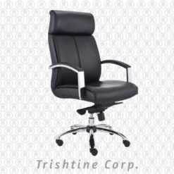TEX-196 | High Back Executive Office Chair