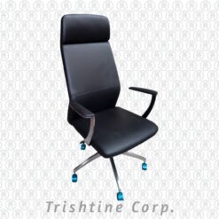 TEX-189 | Leather High Back Executive Office Chair