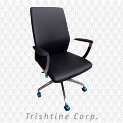 TEX-190 | Leather Mid Back Executive Office Chair