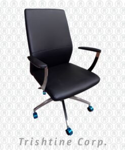 TEX-190 | Leather Mid Back Executive Office Chair